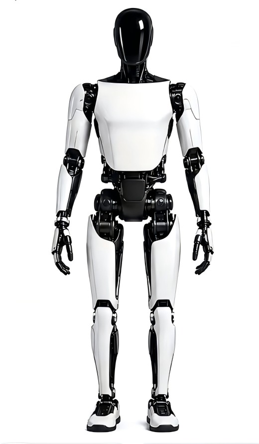 Humanoid Robotics